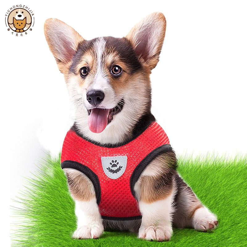 Adjustable Mesh Dog Harness & Walking Leash Set