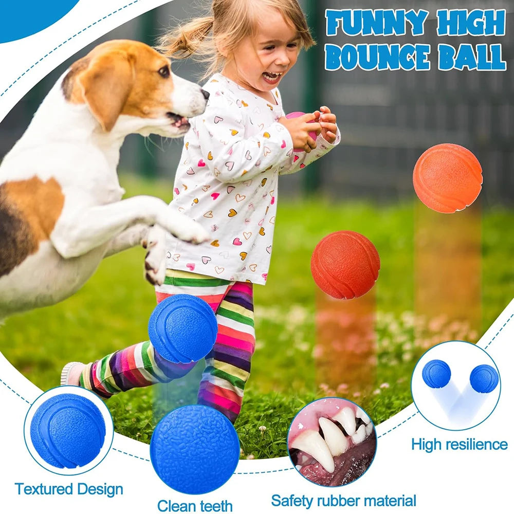 Durable Rubber Toy Ball for Dogs & Cats