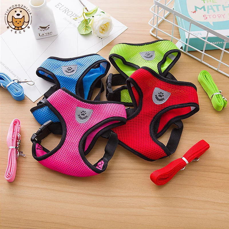 Adjustable Mesh Dog Harness & Walking Leash Set