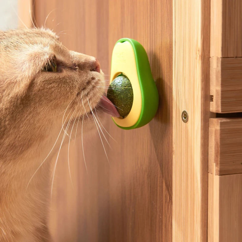 Rotatable Catnip Wall Ball Toy for Cats