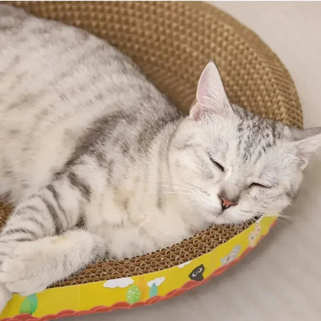 Oval Cat Scratching Board & Lounger