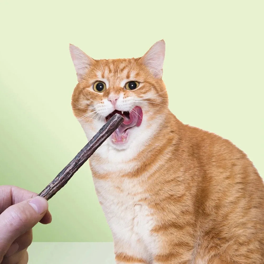 15pcs Natural Silvervine Cat Chew Stick Toy Set