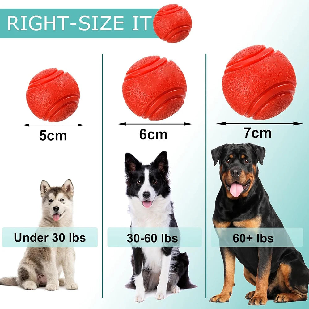 Durable Rubber Toy Ball for Dogs & Cats