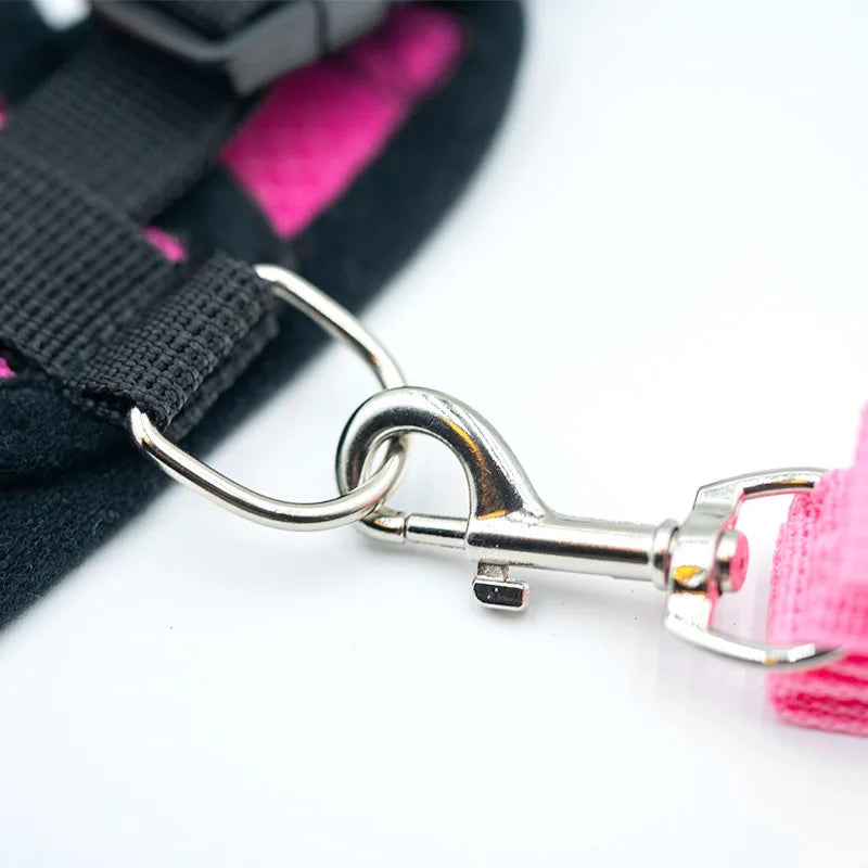 Adjustable Mesh Dog Harness & Walking Leash Set