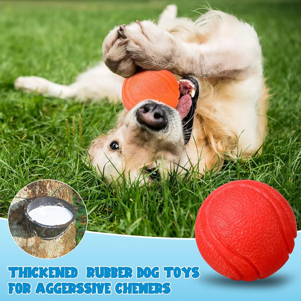 Durable Rubber Toy Ball for Dogs & Cats