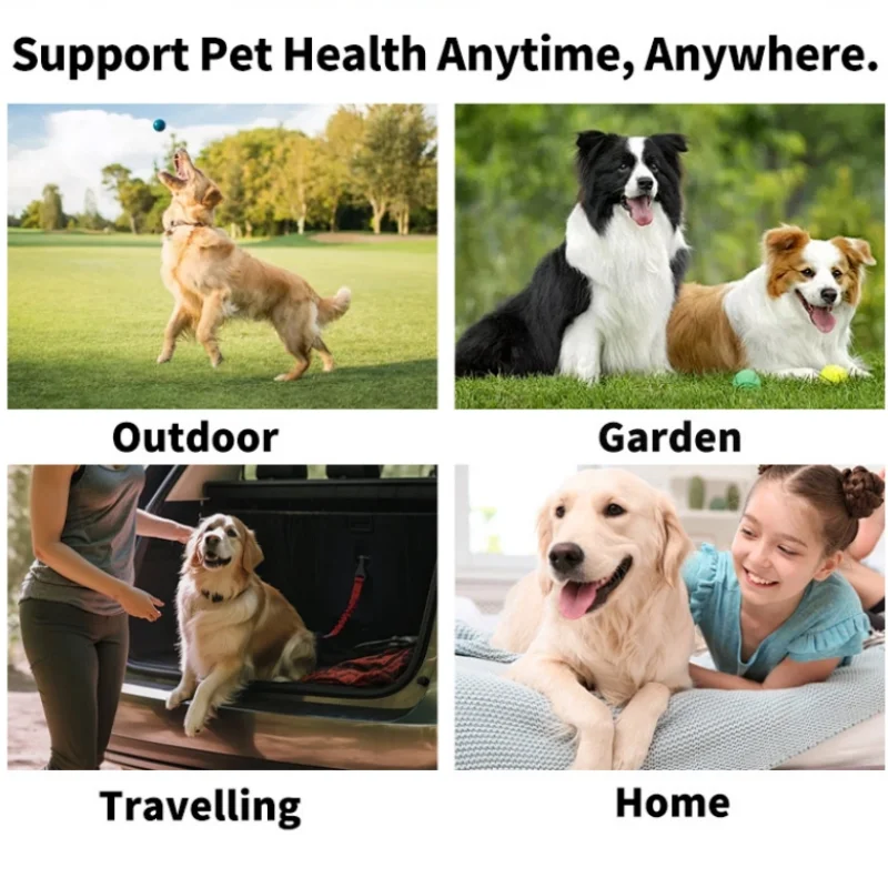 Pet Eye Cleaning Wipes for Dogs & Cats