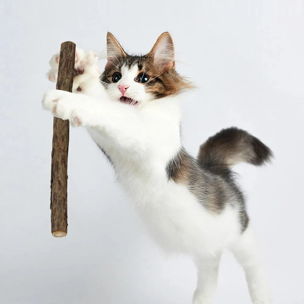 15pcs Natural Silvervine Cat Chew Stick Toy Set