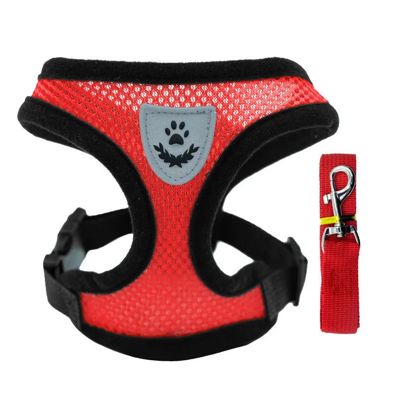 Adjustable Mesh Dog Harness & Walking Leash Set